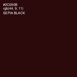 #2C090B - Sepia Black Color Image